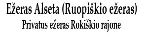 alseta